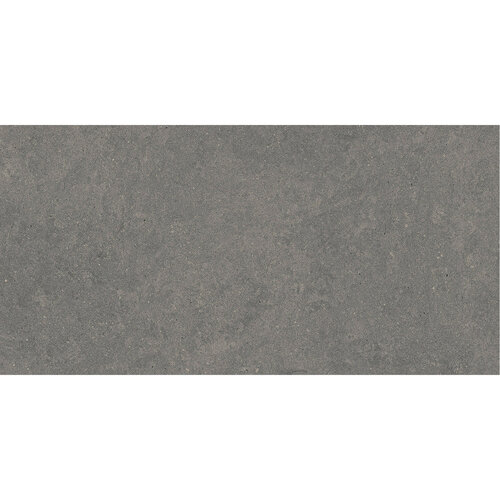 Vloertegel Pamesa Cromat Marengo 30x60 cm Gerectificeerd Mat Antraciet (Prijs Per M2) 