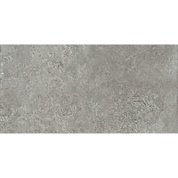Vloertegel Pamesa Montpellier Ash 60x120 cm Gerectificeerd Mat Grijs (Prijs Per M2)