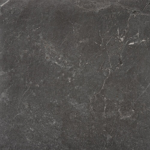 Vloertegel Alaplana P.E. Blade Grafito Mate 60x60 cm Gerectificeerd Marmerlook (Prijs per M2) 