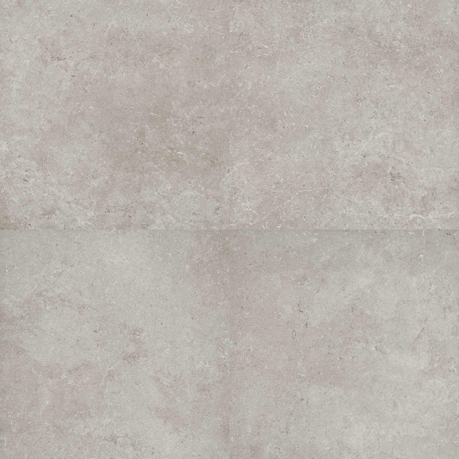 Vloertegel Flaminia Oregon Silver 60x60 cm Gerectificeerd Flaminia
