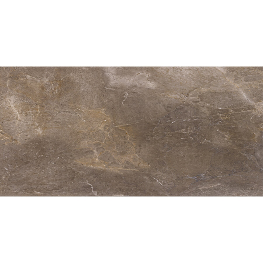 Vloertegel Porcelaingres Royal Stone 60x120 cm Mat Bruin (Prijs Per M2)