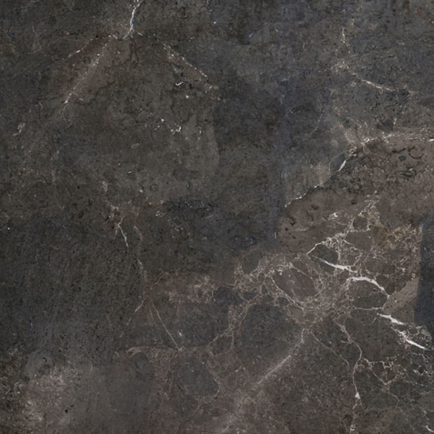 Vloertegel Porcelaingres Royal Stone 60x60 cm Mat Zwart Porcelaingres