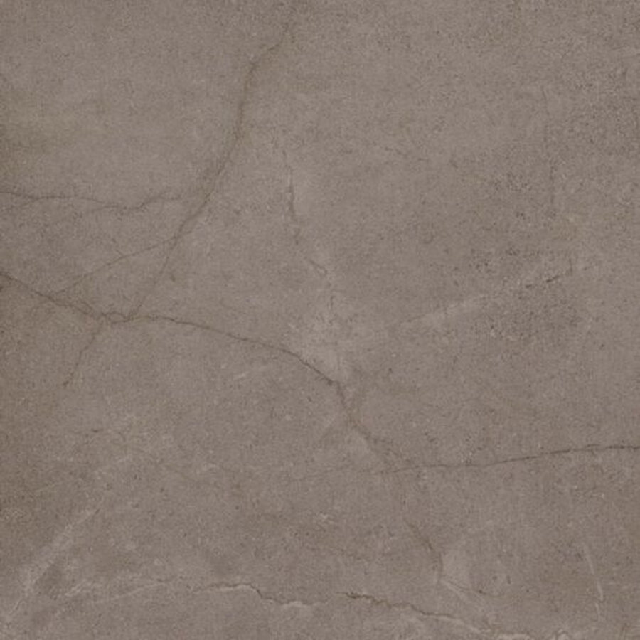 Buitentegel Beste Koop Ext. Uni 60x60 cm Gerectificeerd Mat Light Brown (Prijs Per M2)