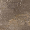 Porcelaingres Vloertegel Porcelaingres Royal Stone 60x60 cm Mat Bruin (Prijs Per M2)