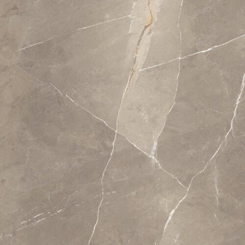 Vloertegel Energieker Pietragrey Glans 60X60 cm Taupe (Doosinhoud 1,44M2) (prijs per m2) 