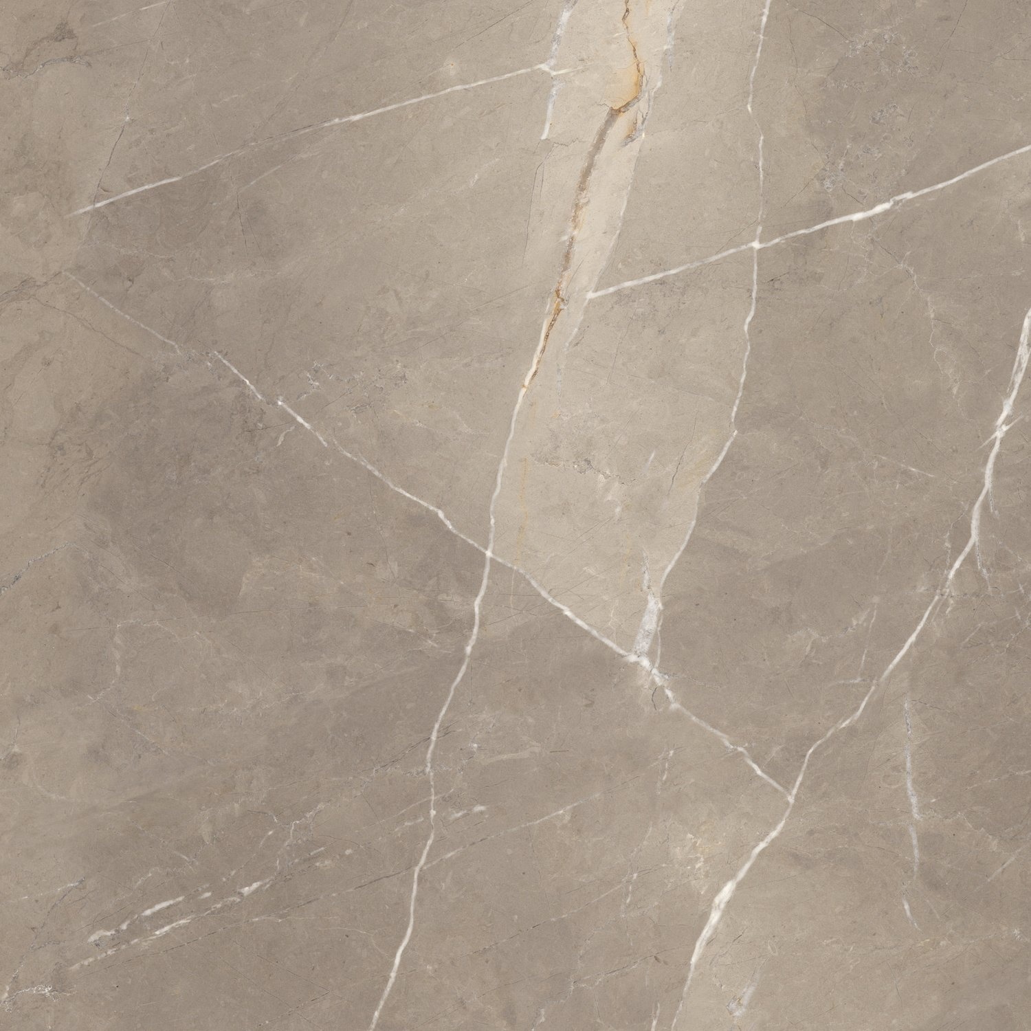 Vloertegel Energieker Pietragrey Glans 120X120 cm Taupe Energieker