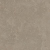 Ceramaxx Buitentegels Ceramaxx Limerock Betonlook Gerectificeerd 60x60x3 cm Taupe (Prijs Per M2)