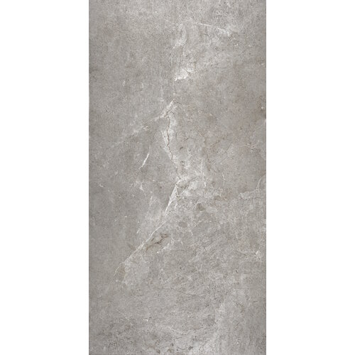 Vloertegel Flaminia Trilogy Greige 60x120 Gerectificeerd (Prijs Per M2) 