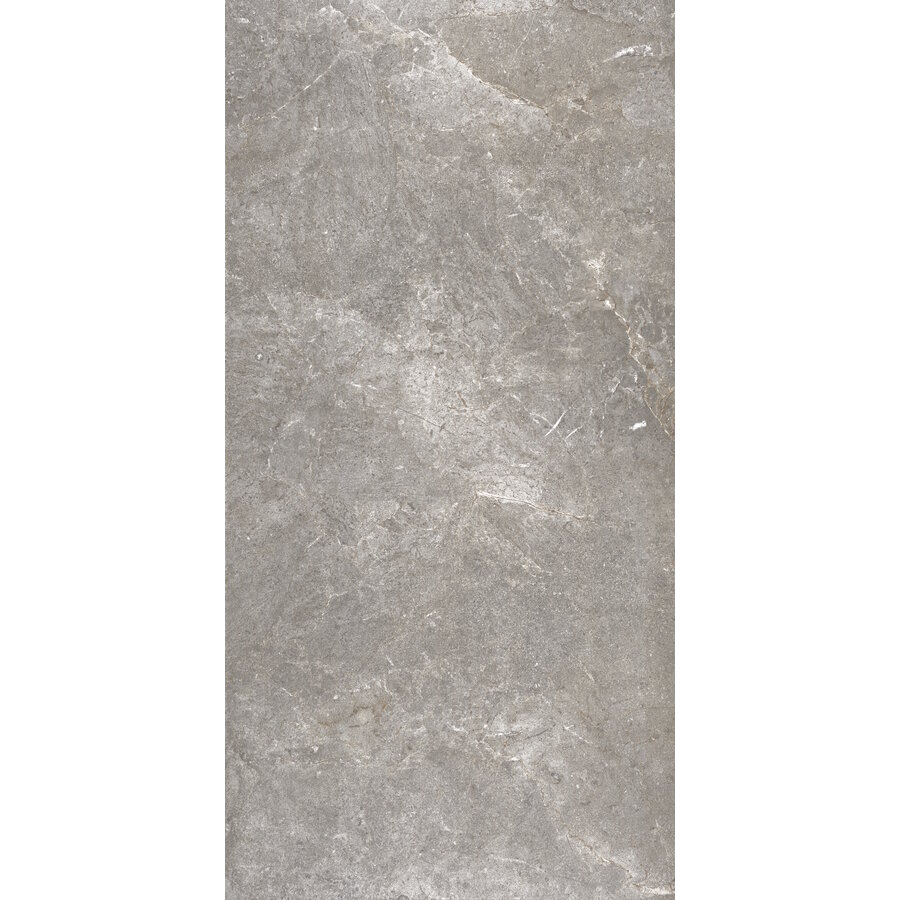 Vloertegel Flaminia Trilogy Greige 60x120 Gerectificeerd (Prijs Per M2)