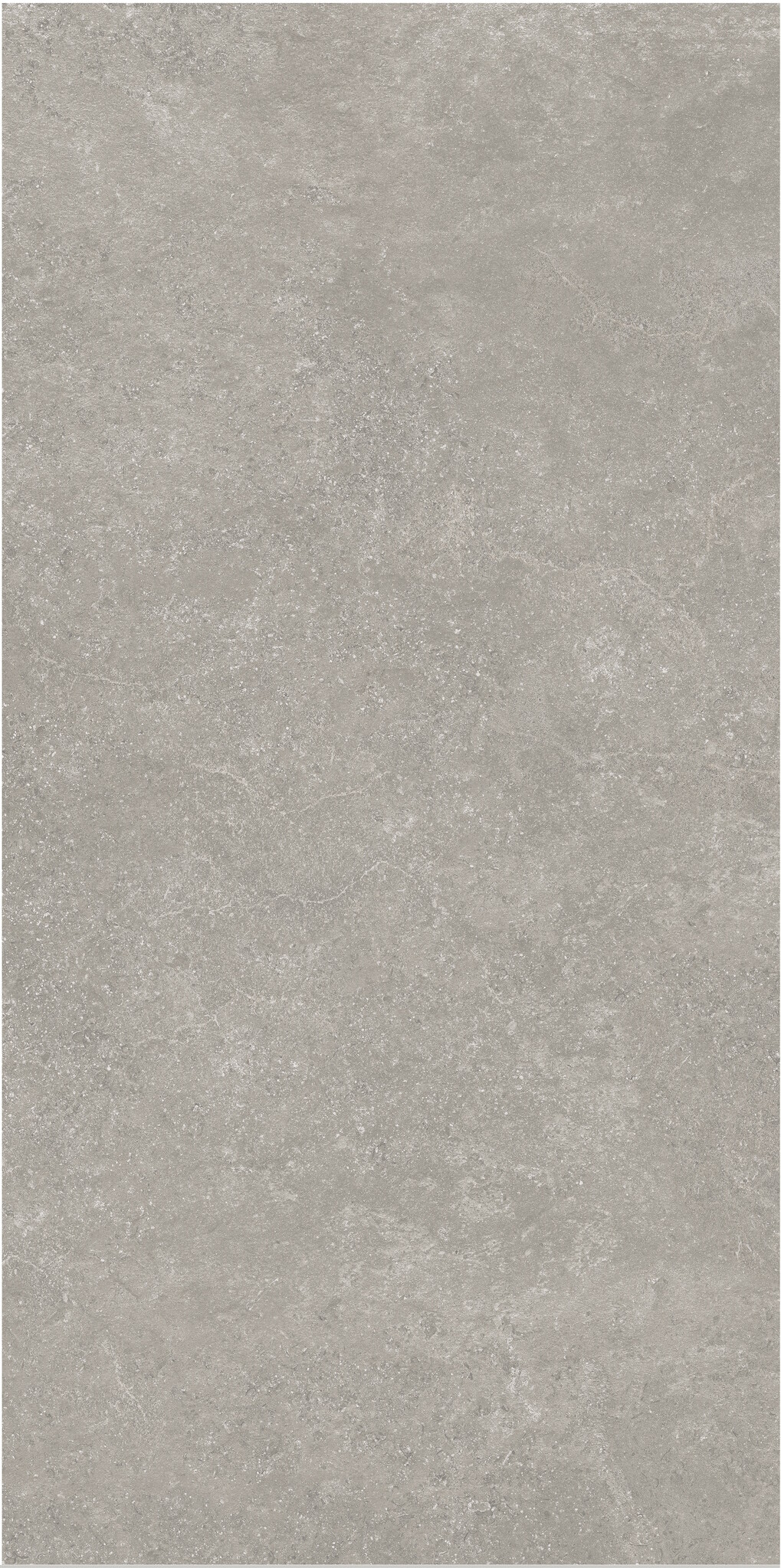 Vloertegel Flaminia Surface Greige 60x120 Gerectificeerd Flaminia