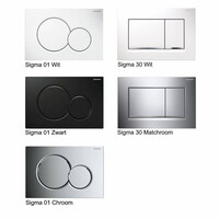 Up320 Toiletset 67 Geberit Econ Rimfree Met Zitting En Sigma Drukplaat