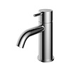 Hotbath OUTLET Wastafelmengkraan Hotbath Cobber 1-hendel Gebogen 14.3 cm Chroom