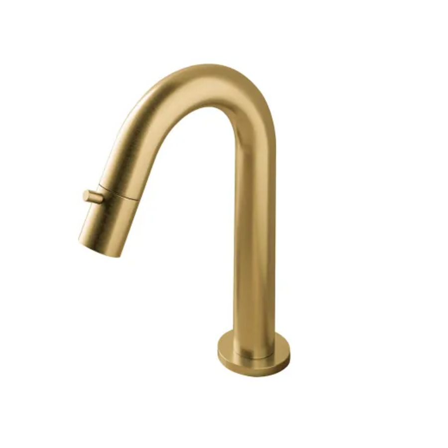 OUTLET Fonteinkraan Hotbath Dude 1-knop gebogen 19.3 cm Rond Geborsteld Messing Living Colours