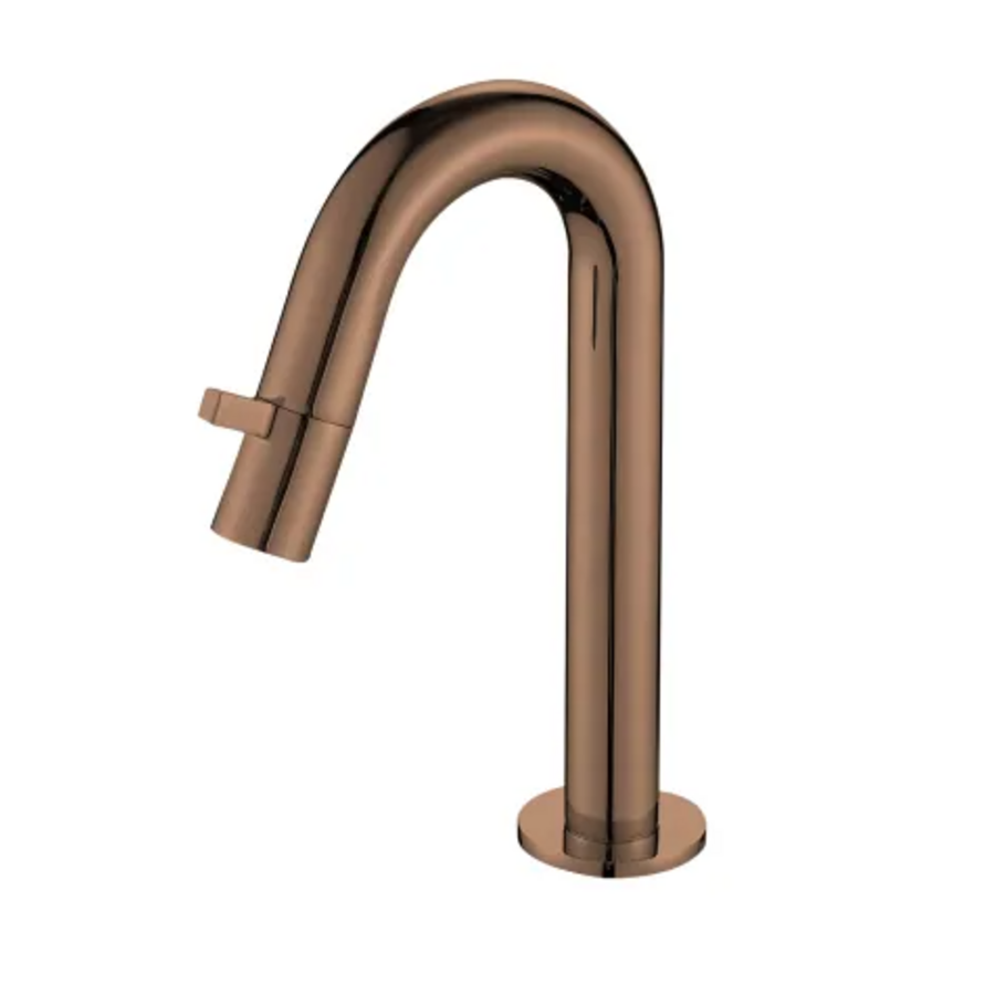 OUTLET Toiletkraan Best Design Dijon 1-draaiknop Gebogen 21 cm PVD Glans Brons