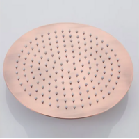 OUTLET Hoofddouche BWS Koper 30 cm Geborsteld Koper