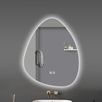 OUTLET Organische LED Spiegel BWS Orr 100x60 cm Met Anticondens