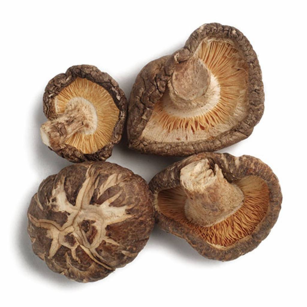 Nutrikraft Biologische Shiitakegranulaat 1 Kg nutrikraft kopen in de aanbieding Nutrikraft Biologische Shiitakegranulaat 1 Kg nutrikraft kopen in de aanbieding