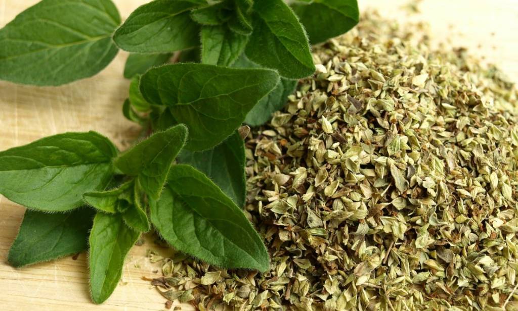 Nutrikraft Biologische Oregano Kruiden Gesneden 100 Gram nutrikraft kopen in de aanbieding