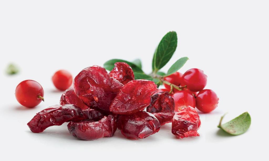 Nutrikraft Biologische Cranberries Gezoet 1 Kg nutrikraft kopen in de aanbieding