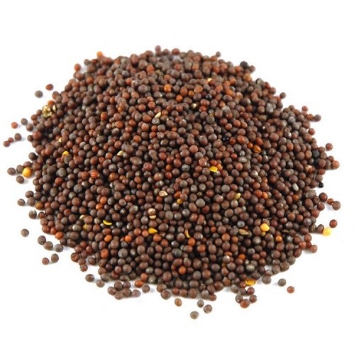 Nutrikraft Biologisch Mosterdzaad Bruin Sarepta Heel Brassica Juncea 100 Gram nutrikraft kopen in de aanbieding Nutrikraft Biologisch Mosterdzaad Bruin Sarepta Heel Brassica Juncea 100 Gram nutrikraft kopen in de aanbieding