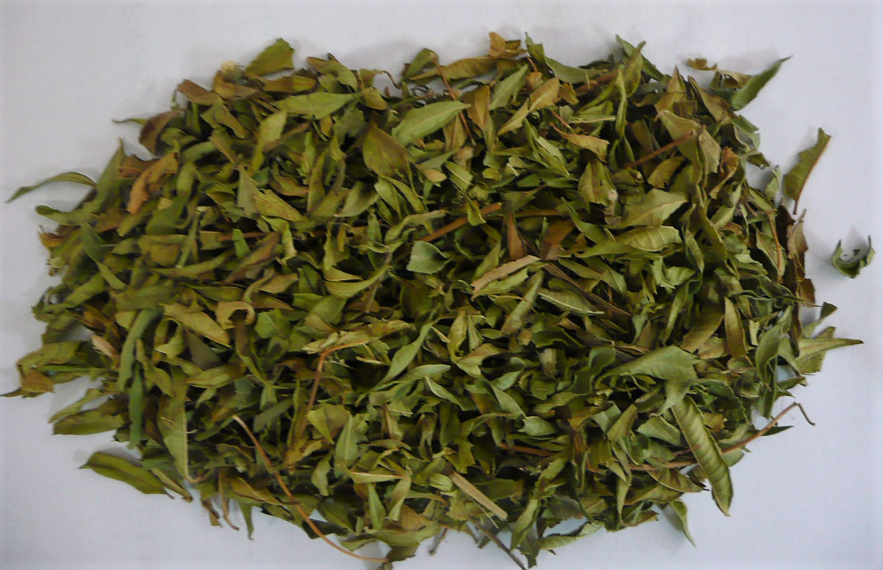 Nutrikraft Biologische Citroenverbena Gesneden 1 Kg nutrikraft kopen in de aanbieding