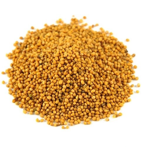 Nutrikraft Biologische Mosterdzaad Geel Heel Kiemarm 1 Kg nutrikraft kopen in de aanbieding Nutrikraft Biologische Mosterdzaad Geel Heel Kiemarm 1 Kg nutrikraft kopen in de aanbieding