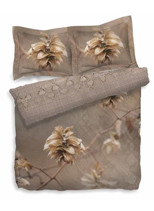Heckettlane Driden (Warm Taupe)