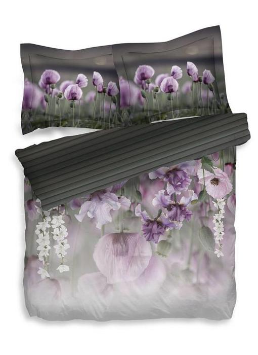 Heckettlane Jasmin (Striking Purple)