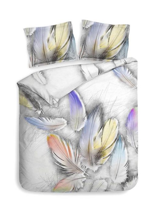 Heckettlane Linnett (Heavenly White)