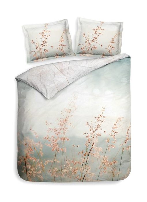 Heckettlane Annalisa (Morning Natural)