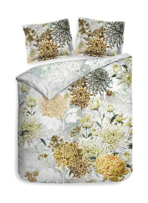 Heckettlane Chrys (Mimosa White)