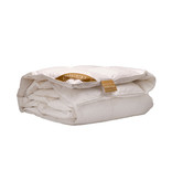 iSleep iSleep Gold enkel dekbed 100% ganzendons (warmteklasse 2)