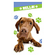 Strandlaken Hello Dog (Multi)