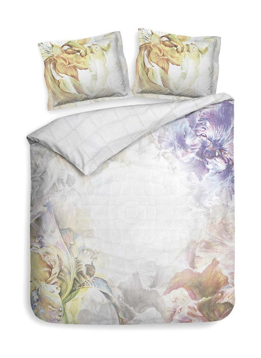 Heckettlane Adelita (Multi)