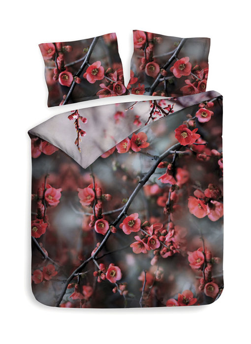 Heckettlane Ruma (Plum Red)
