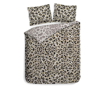 Heckettlane Leo (Grey Gold)