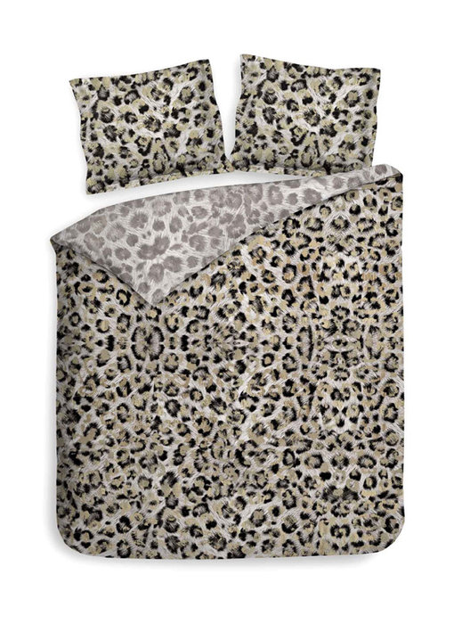 Heckettlane Leo (Grey Gold)