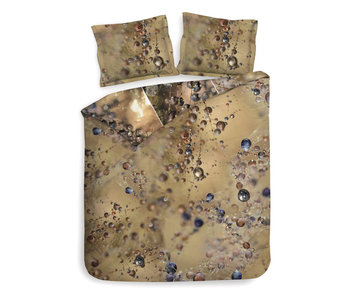 Heckettlane Eli (Copper Gold)