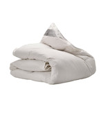 iSleep iSleep 4-seizoenen dekbed 100% Eendendons