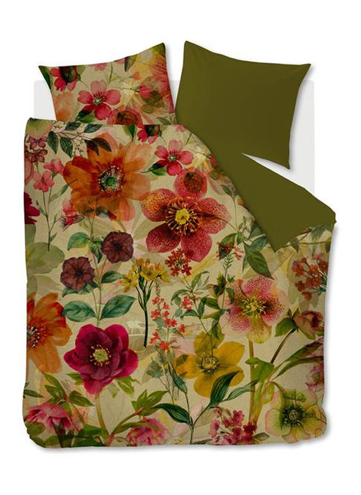 Beddinghouse Hellebore (Multi)