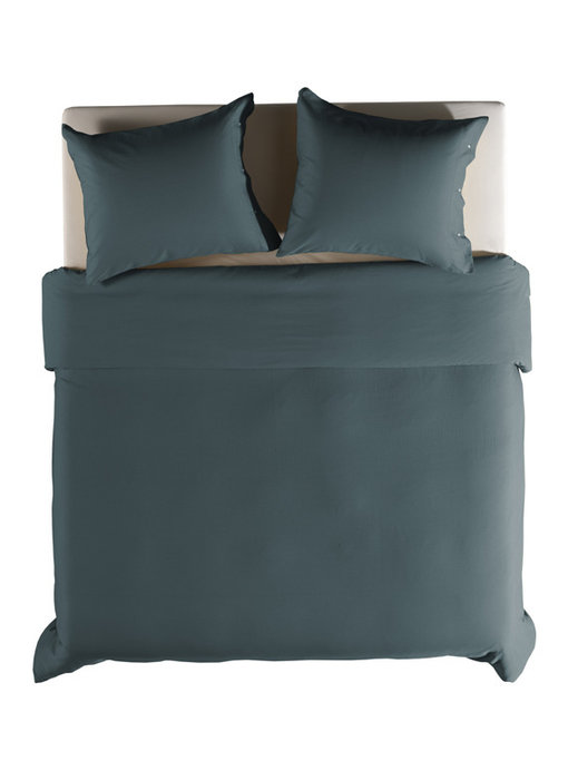Yellow Cialda (Dusk Blue)