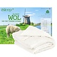 iSleep zomerdekbed wol