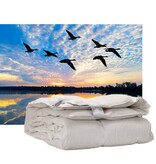 iSleep iSleep enkel dekbed 100% Eendendons (warmteklasse 2)
