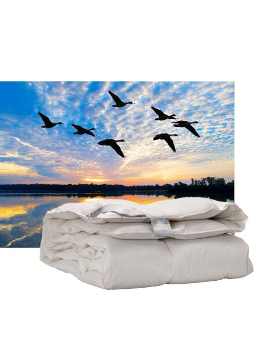 iSleep 100% Eendendons (warmteklasse 2)