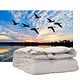 iSleep 100% Eendendons (warmteklasse 2)