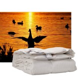 iSleep iSleep enkel dekbed 100% Eendendons (warmteklasse 1)