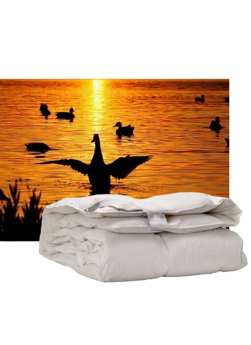iSleep 100% Eendendons (warmteklasse 1)