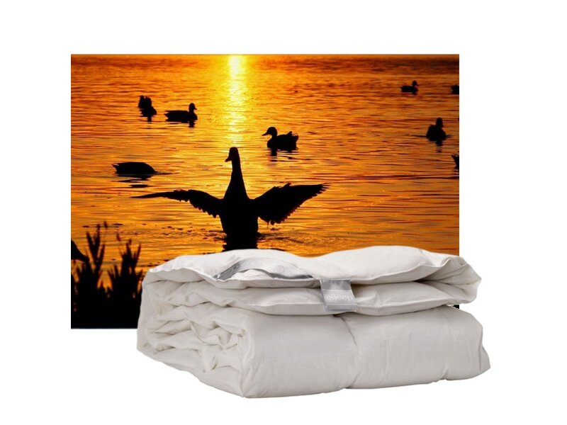 iSleep iSleep enkel dekbed 100% Eendendons (warmteklasse 1)
