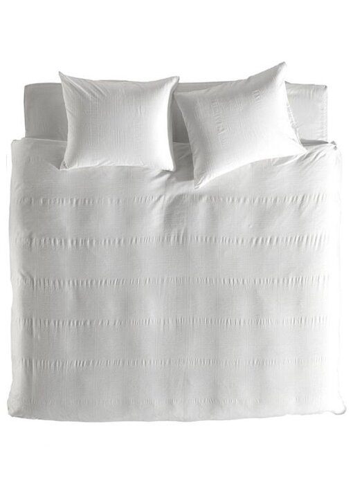 Yellow Shaya (White)