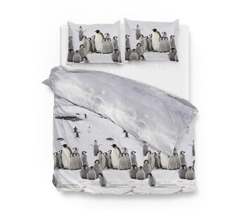 Zo! Home Flanel Tadzio (White)